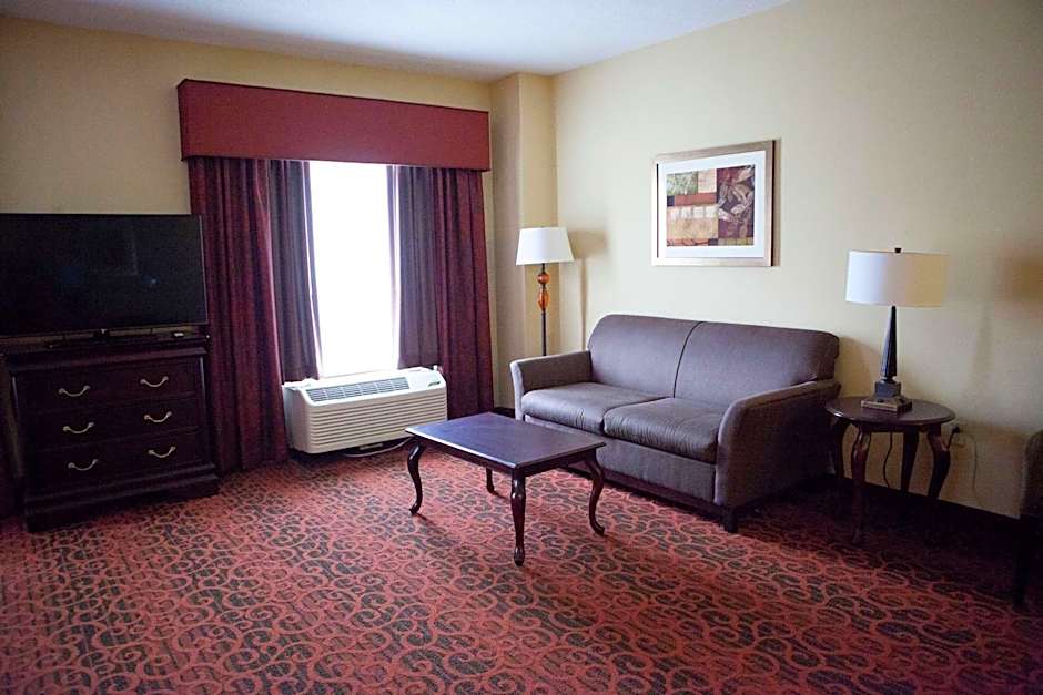 Hampton Inn By Hilton Rochester-Webster