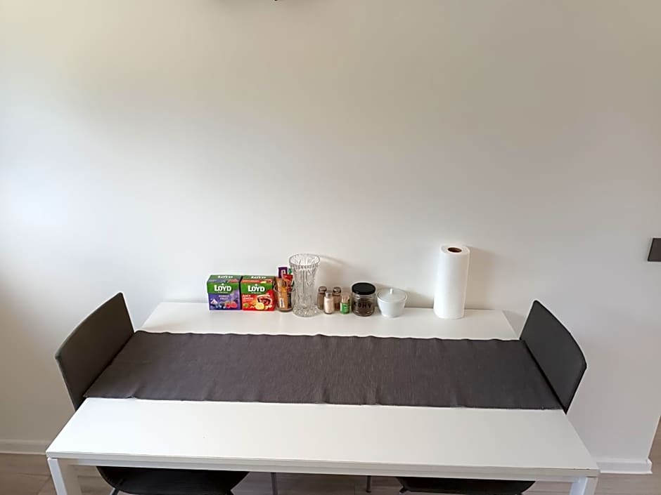 Luxury Apartment Private House and Parking Netflix