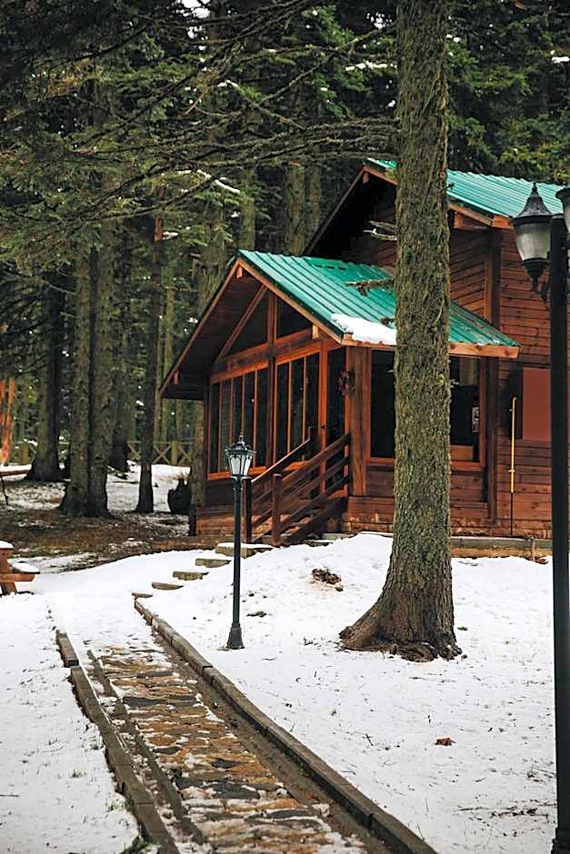 Karinna Orman Evleri