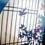 Villa Sanjomuromachi KYOTO