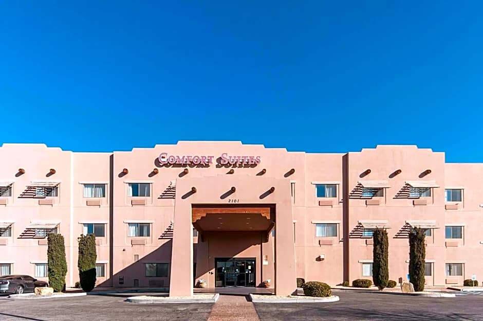 Comfort Suites   University