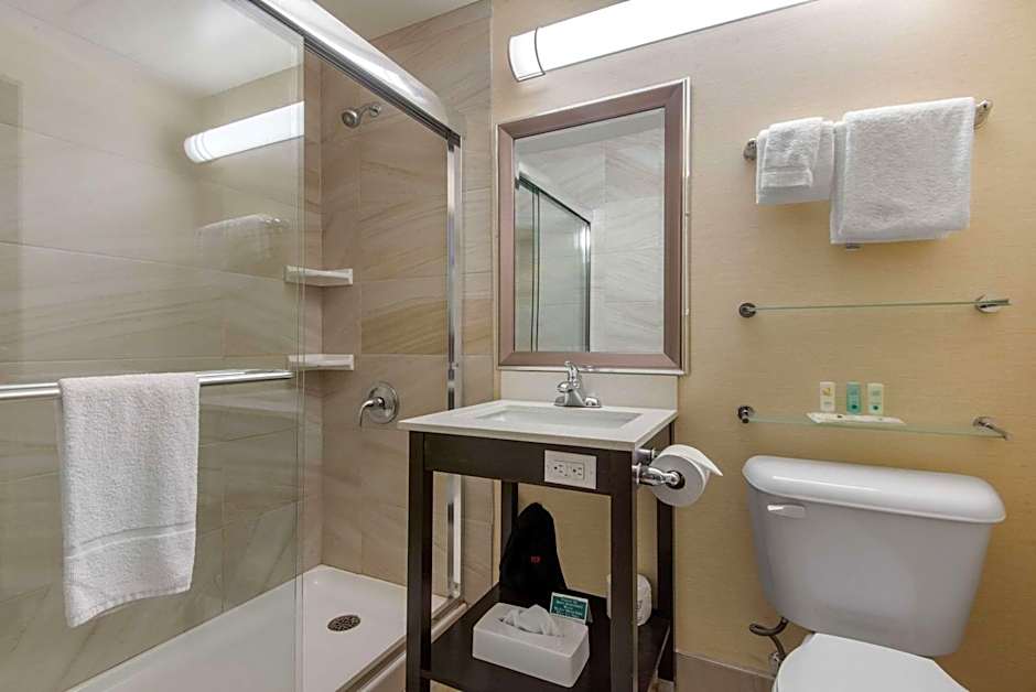 Quality Inn & Conference Centre Downtown