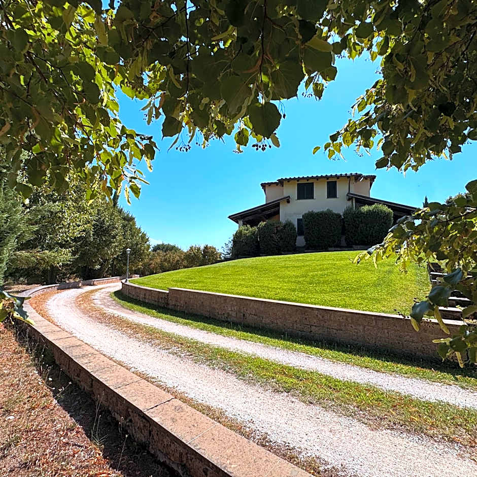 Oasi Del Verde