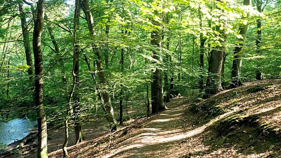 ITM Hotel Bettkästchen am Sachsenwald