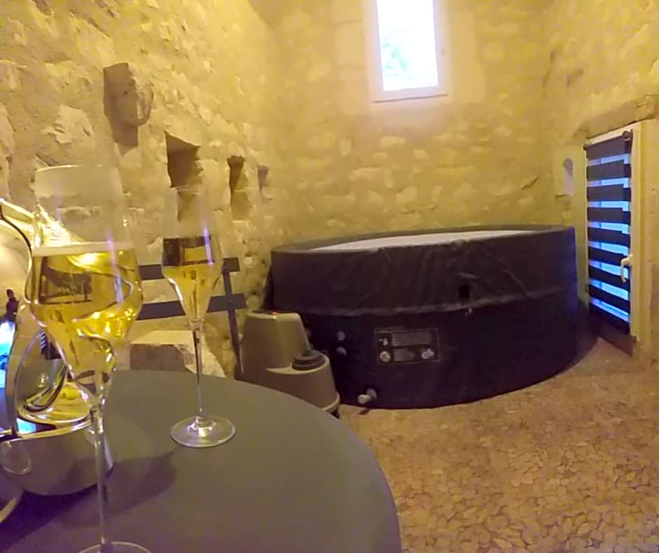 La BerryCurienne proche du Zoo de Beauval Saint-Aignan avec SDB, WC ET SPA PRIVATIF pour chaque chambre