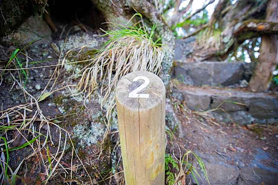 Suites Los Telares - Adults Recommended