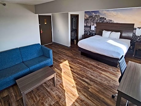 1 King Bed, Efficiency, Suite, Nonsmoking