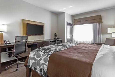 King Room - Non-Smoking