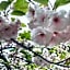Athol Country Bed & Breakfast