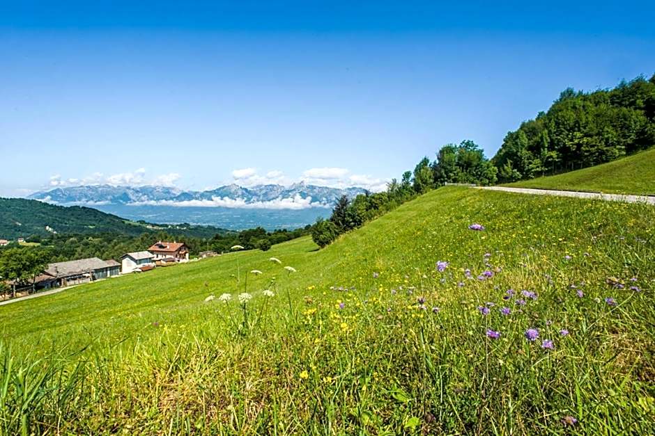 Agriturismo Fattoria Ortoalpino