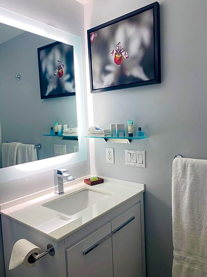 Executive Hotel Cosmopolitan