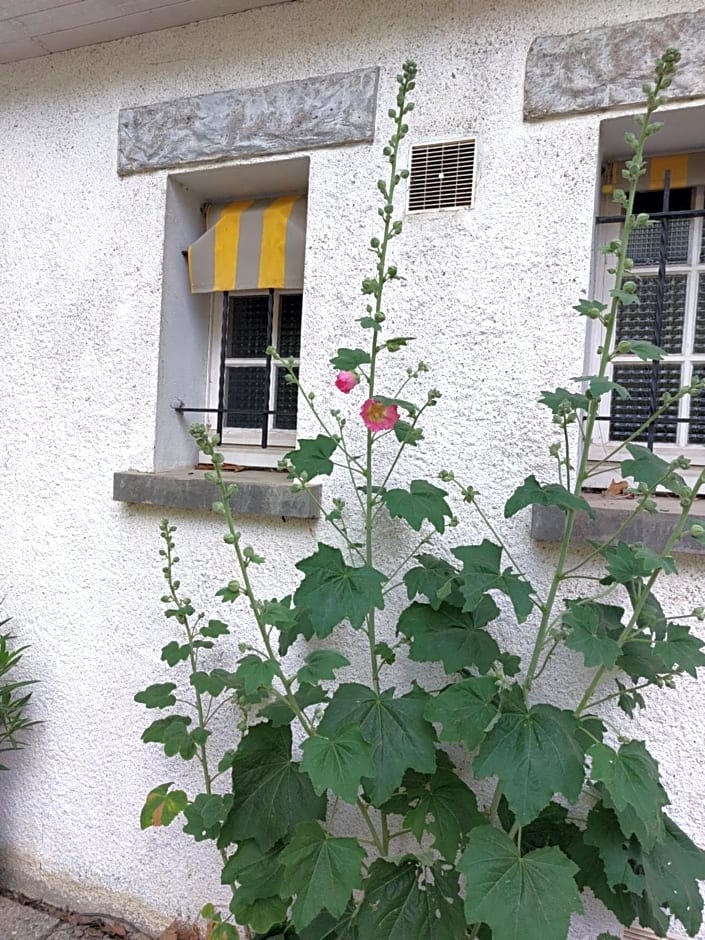 les allées du château