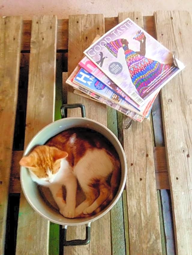 Spindlewood Barn Accommodation