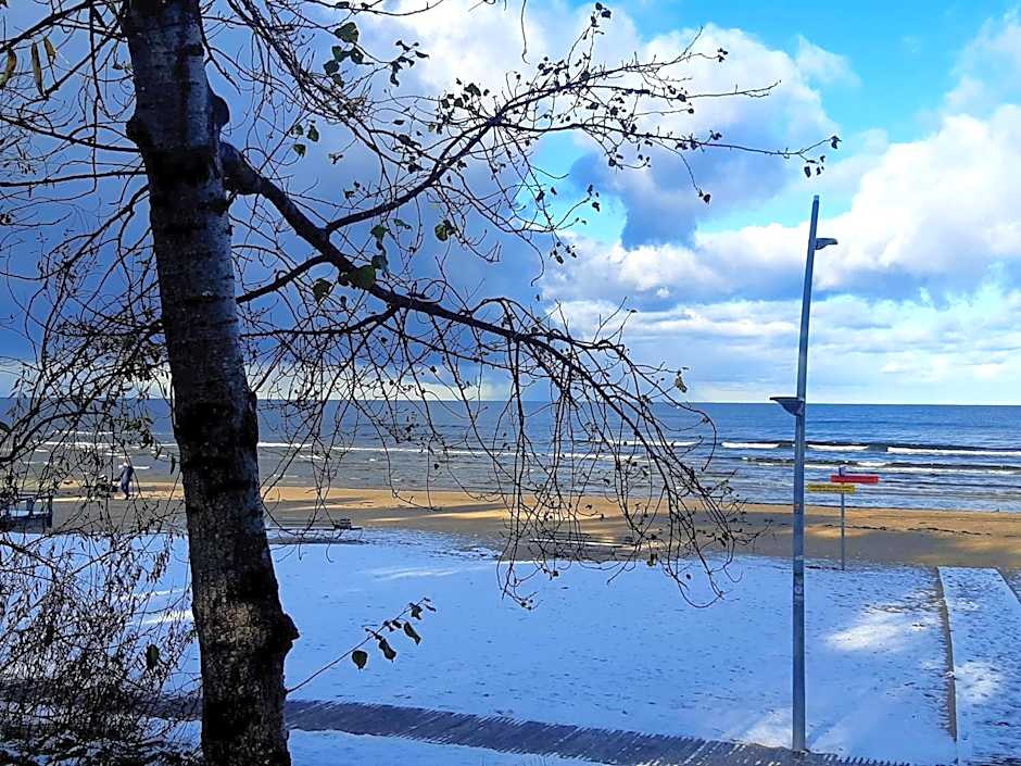 Wooden Villa APARTMENTS