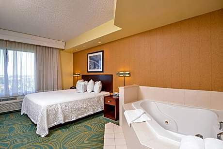 1 Bedroom Suite, 1 King, Sofa bed, Whirlpool