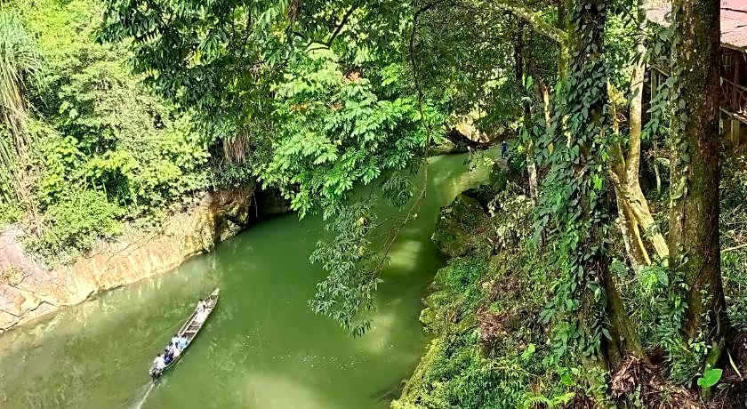 Green lodge tangkahan 