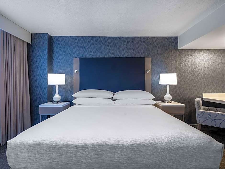 Embassy Suites by Hilton Baltimore Hunt Valley