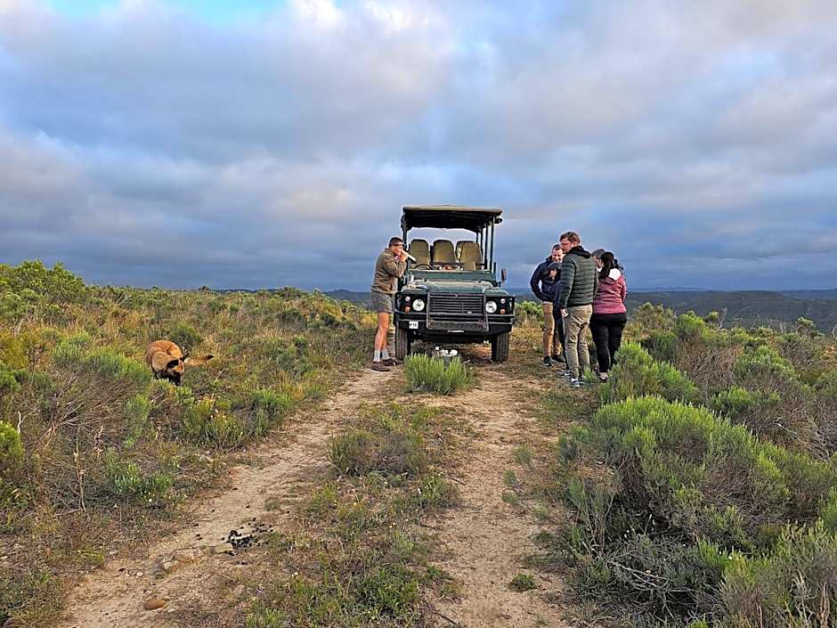 Garden Route Safari Camp