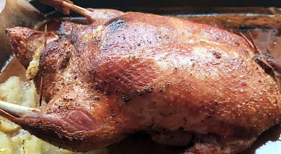 Pokoje Gościnne Art- Dworek