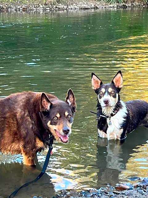 Vacy Hunter Valley Lodge