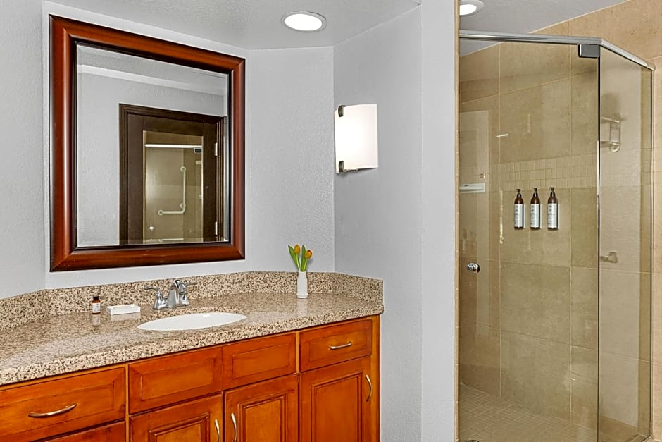 Marriott's Desert Springs Villas I