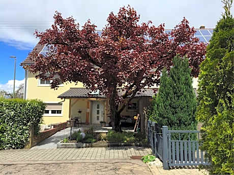 Apartmentvermietung Ingrid Bolkart - Vöhlino 2