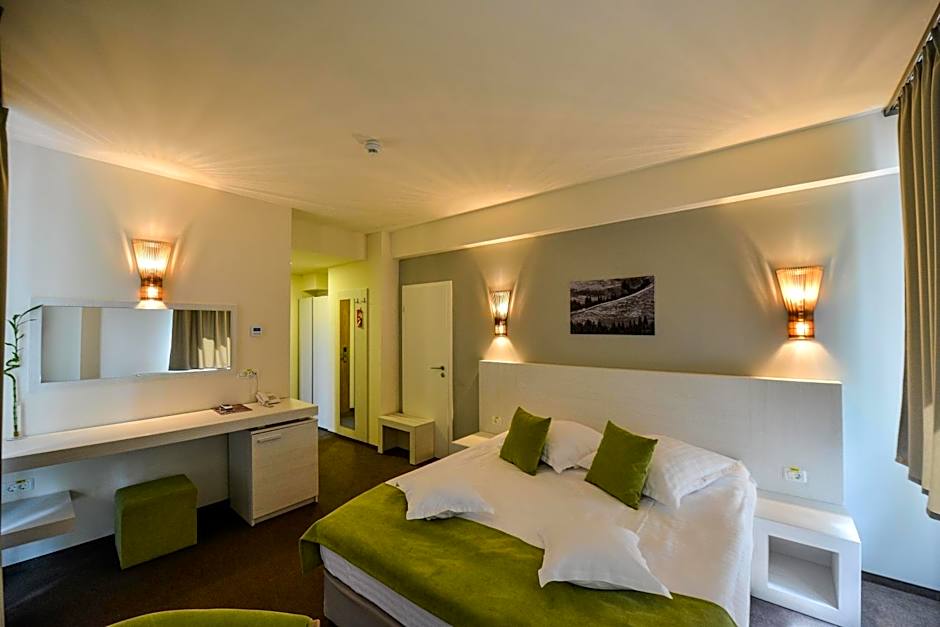 Hotel Posada Vidraru