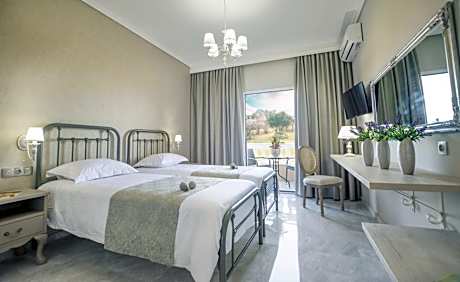 Deluxe Twin Room with Garden View