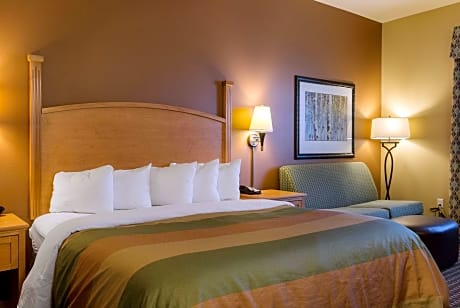 1 King Bed, Efficiency, Suite, Nonsmoking