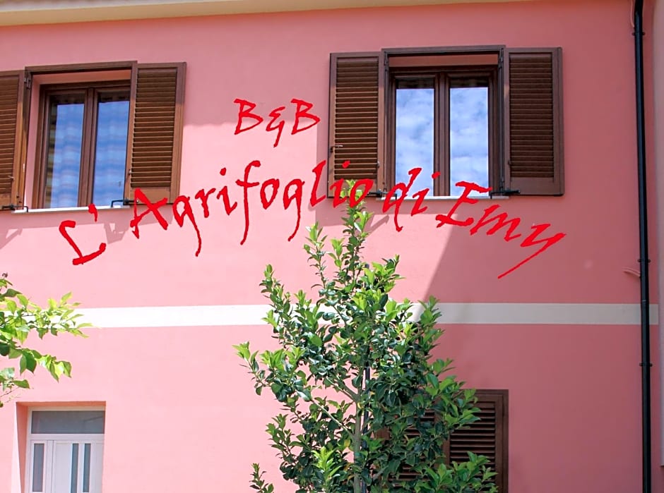 L'Agrifoglio di Emy