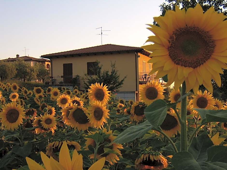 B&B Il Girasole - Rooms & House in country - air conditioned - 1500 meters from historic center