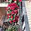 The Artist's Home Catania Centro
