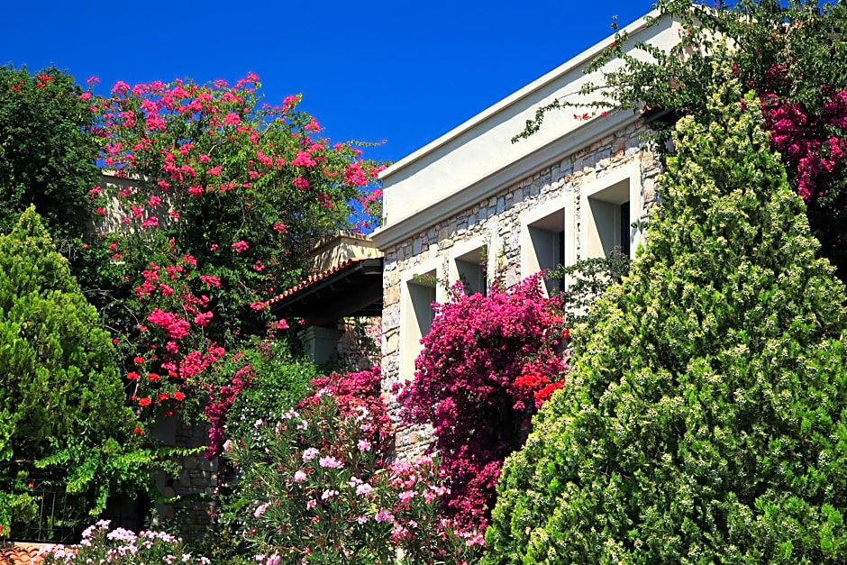 Zeytinada Hotel