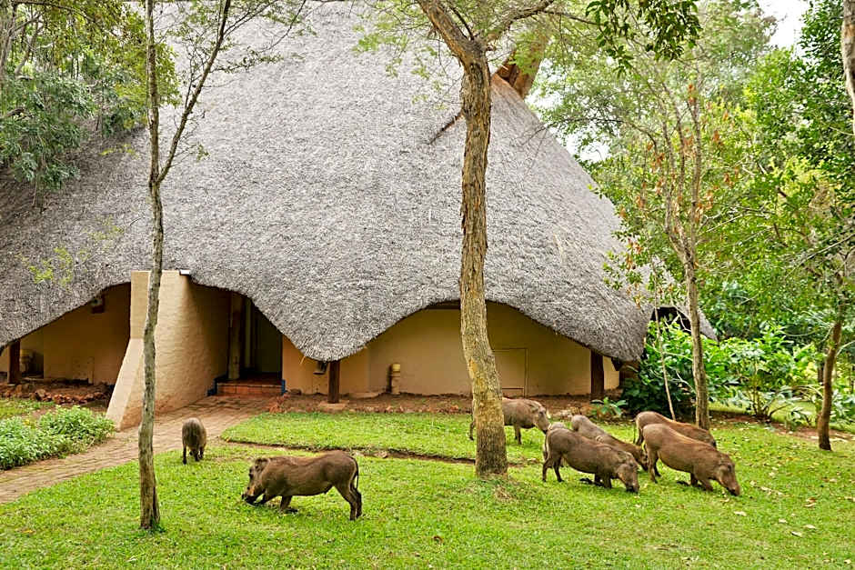 Lokuthula Lodges
