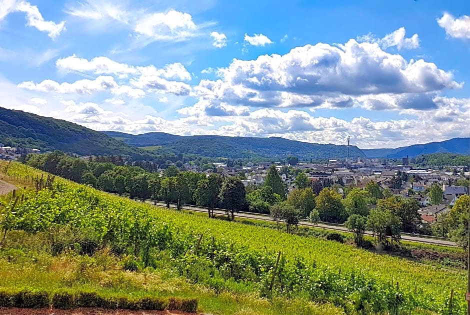 Schloss Arenfels