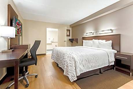 Deluxe King Room Disability Access Roll-ln Shower Smoke Free