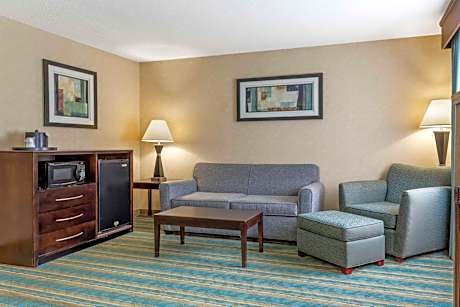 One-Bedroom King Suite with Double Bed and Sofa Bed - Fireplace/Non-Smoking