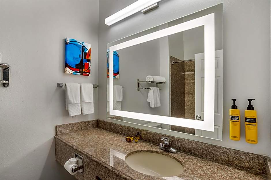 Best Western Plus New Caney Inn & Suites