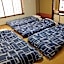 Nozawa Dream