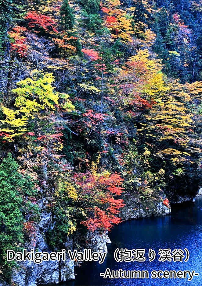 Onsen Yupopo