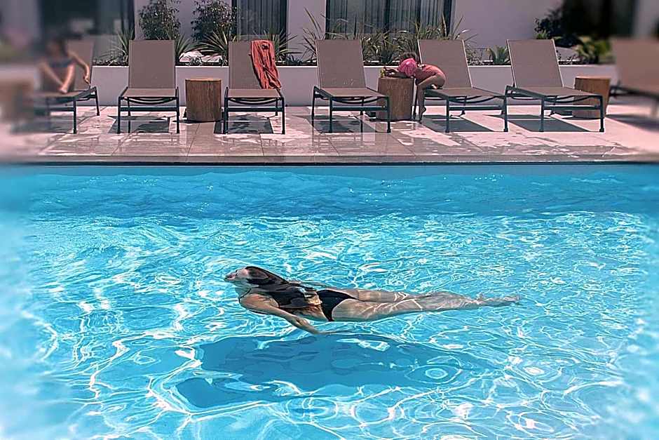 Pêro Teive Bay Apartments Hotel