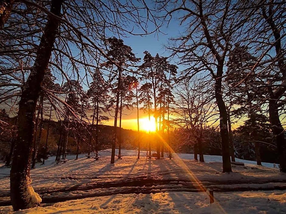Albergo Villa San Michele