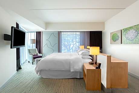 Large King Room with Mountain View - Club Access