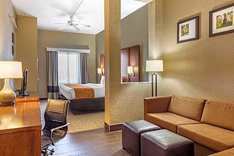 1 King Bed, Suite, Nonsmoking, Accessible