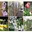 Briar Rose Inn Vancouver WA USA