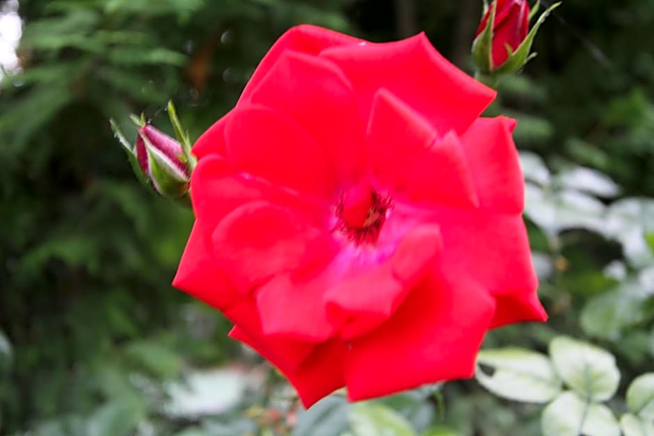 Grantek Üdülőház