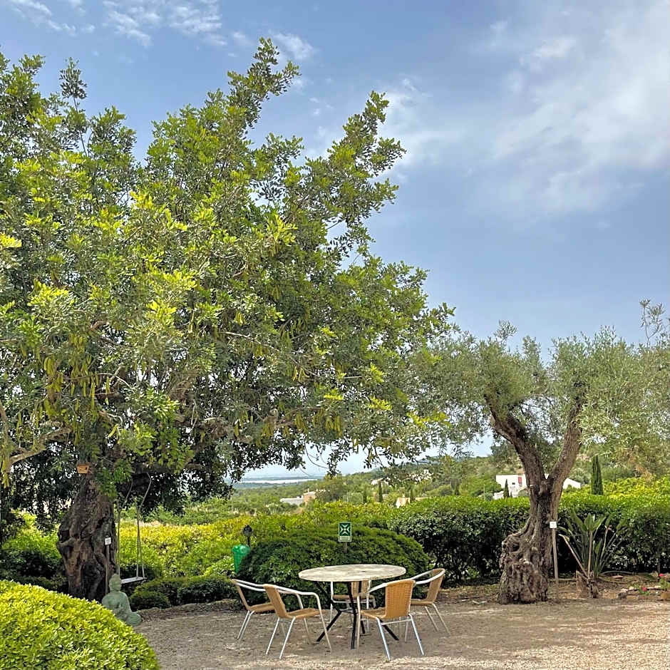 Hotel Rural Quinta do Marco - Nature & Dining