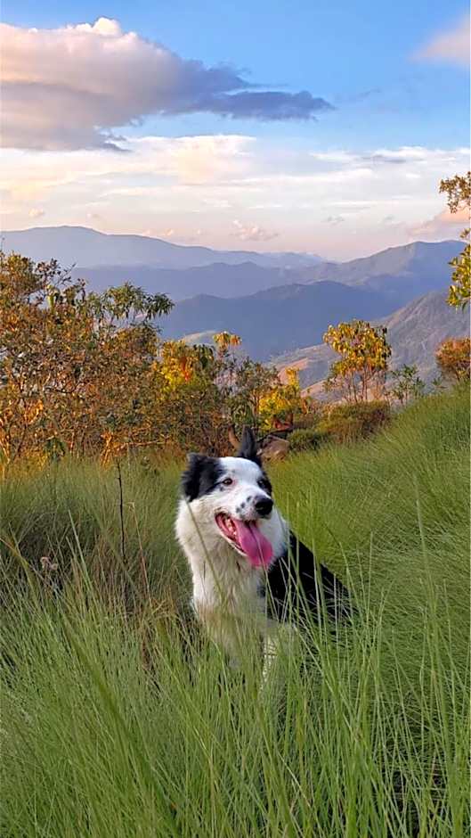 IVOS Hostel & Camping