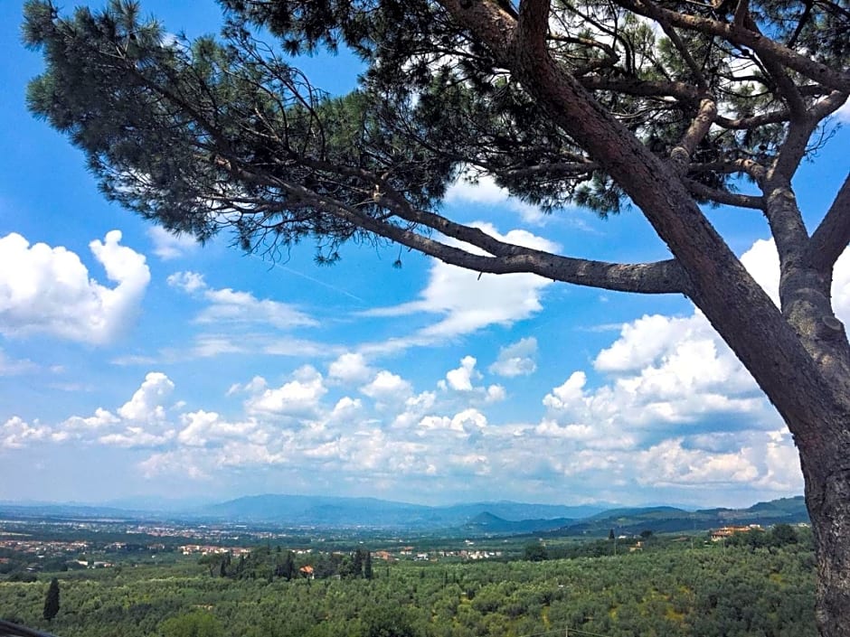 Agriturismo Podere Rondinaio