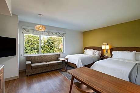 Studio, 2 Queen, Sofa bed